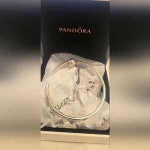 Pandora bangle
